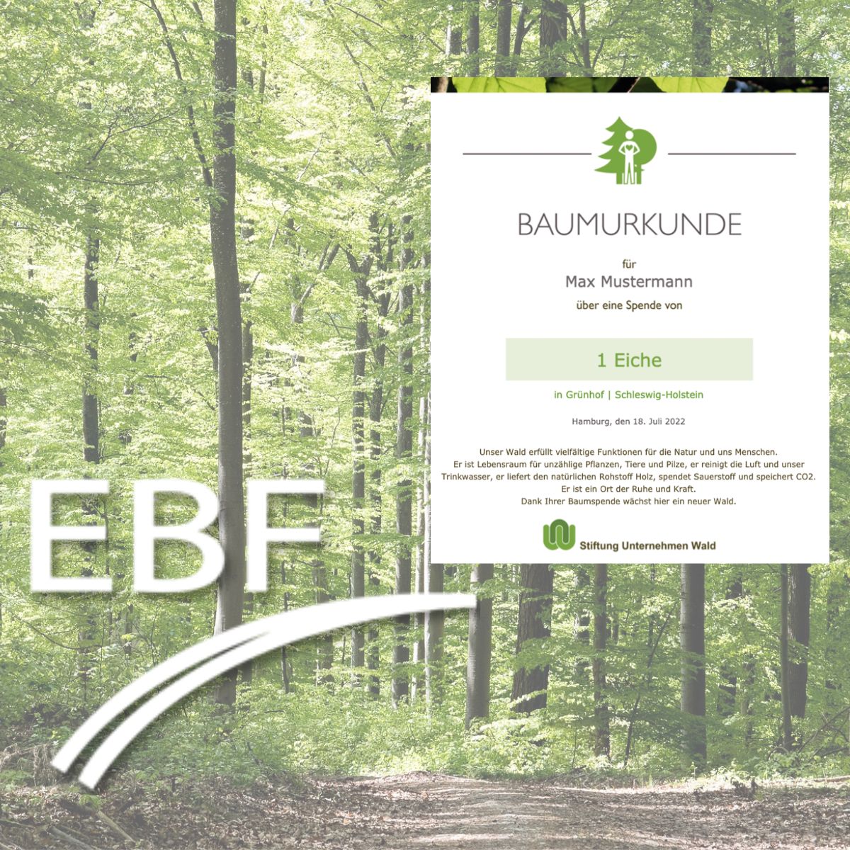 EBF Barcelona 2024 Raffle and Tree Campaign